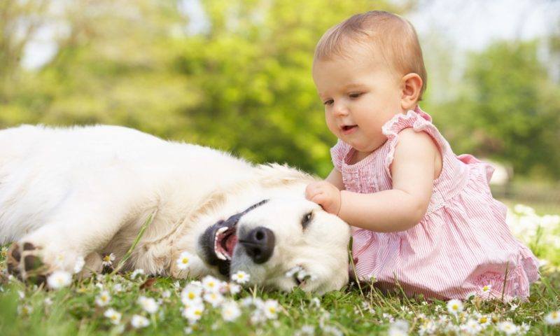 μωρό και σκύλος