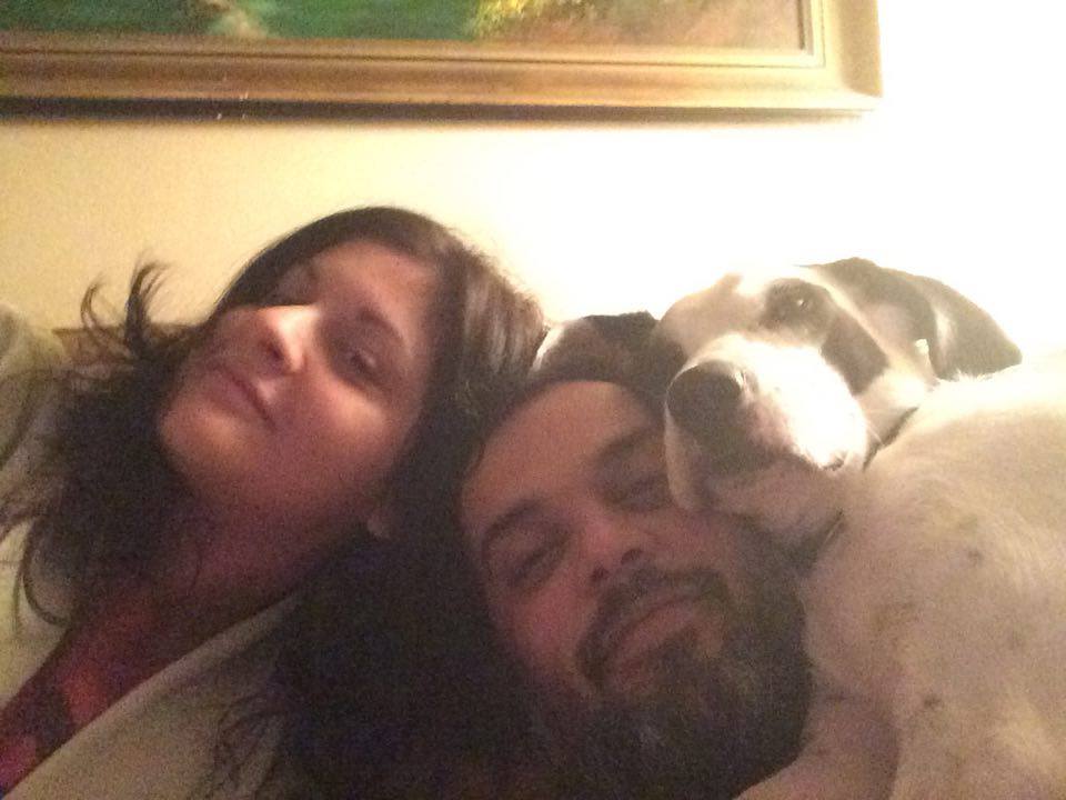 Εκπαίδευση σκύλου Πετρούπολη