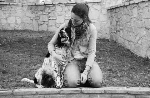 Εκπαίδευση σκύλου Κρυονέρι