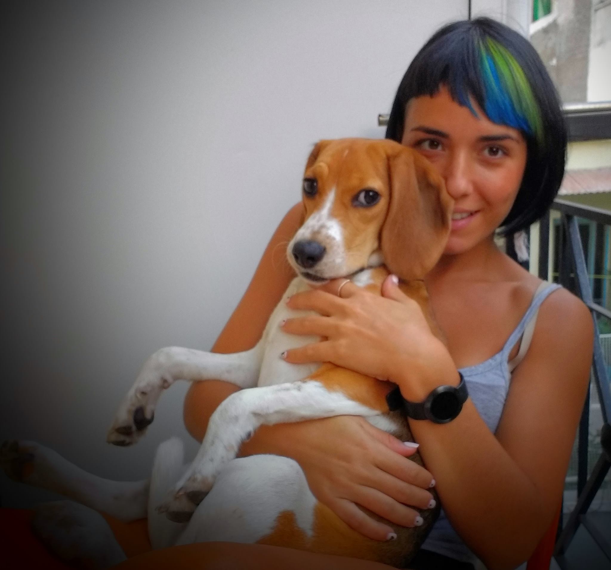 Εκπαίδευση σκύλου Αγ. Βαρβάρα