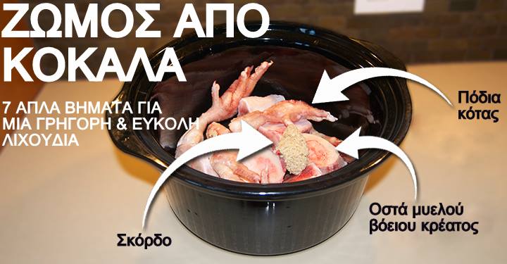 ζωμός σκύλου απο κόκαλα