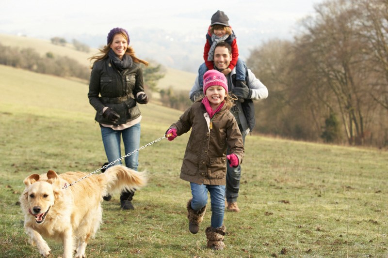 βόλτα του σκύλου