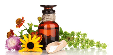 Ανθοϊάματα για σκύλους